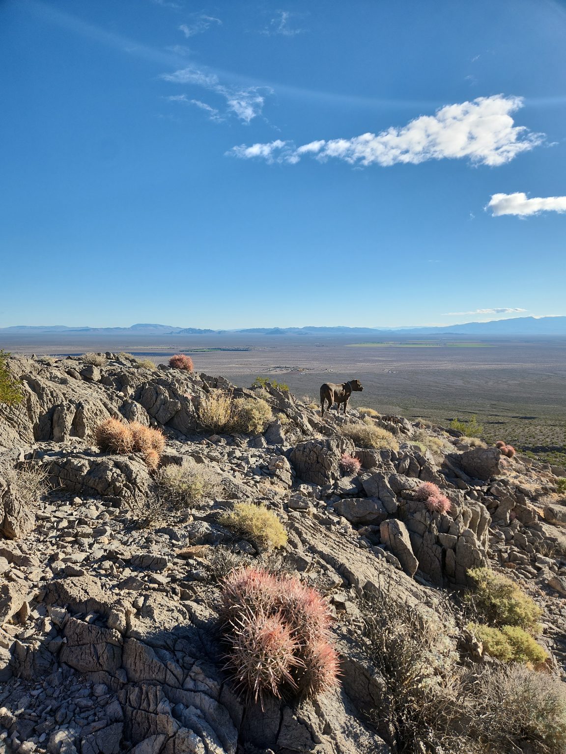 Amargosa Valley
